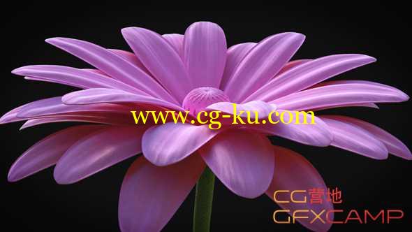 AE模板-花朵开放Logo展示动画 Flower - Elegant Logo Reveal的图片1