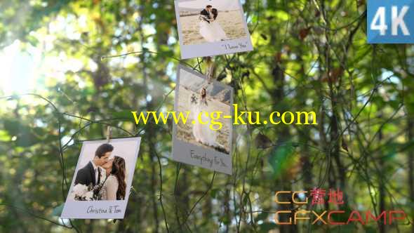 AE模板-树木绳子悬挂照片相册回忆片头 Photo Memories on Trees的图片1