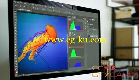 PS曲线调色基础教程 Pluralsight - Photoshop CC Working with Curves的图片1
