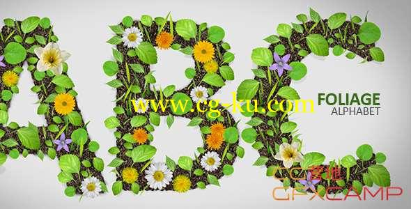 AE模板-花草生长个性化英文字母动画 Foliage Alphabet的图片1