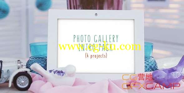 AE模板-户外实拍悬挂相册图片展示 Photo Gallery Intro Pack的图片1
