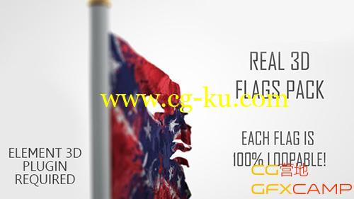 真实3D旗帜飘动 VideoHive Real 3D Flags pack的图片1