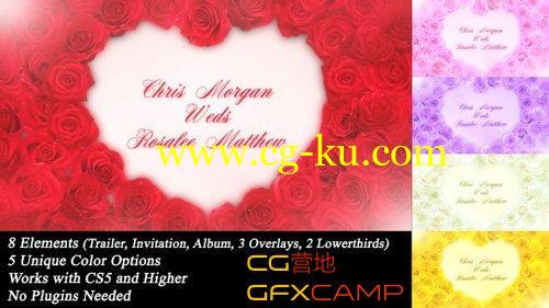 婚礼红心玫瑰 VideoHive Wedding Roses的图片1