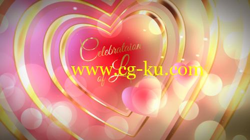 浪漫爱心婚礼 VideoHive Celebration of Love的图片1