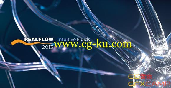 流体软件 NextLimit RealFlow 2013 Win/Mac的图片1