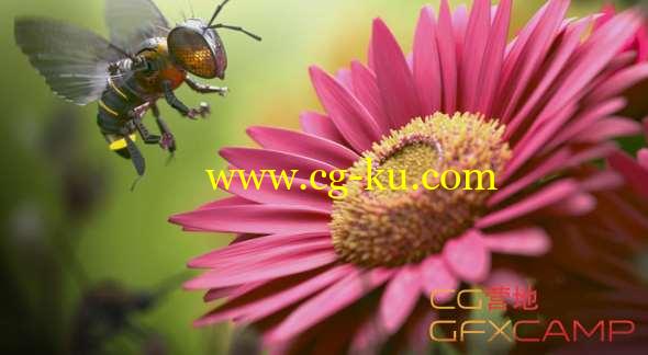 Vray渲染器完全破解版+安装步骤 V-Ray 3.60.03 For 3DS Max 2013/2014/2015/2016/2017/2018的图片1