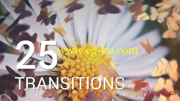 AE模板-蝴蝶飞舞遮罩视频转场 Butterflies Transitions的图片1