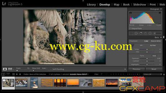 Nik插件套装教程 Lynda – Basics of Using the Nik Collection的图片1