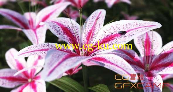 植物工厂破解版 3D PlantFactory Producer 2016 R2 Win的图片1