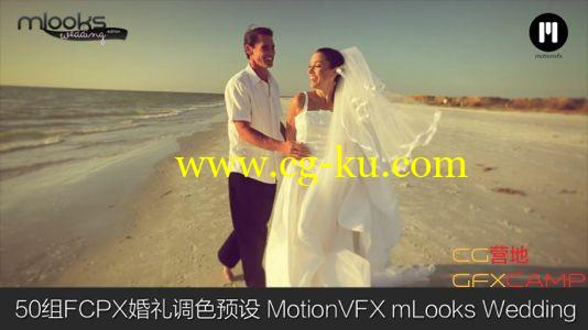 50组FCPX婚礼调色预设 MotionVFX mLooks Wedding Edition的图片1