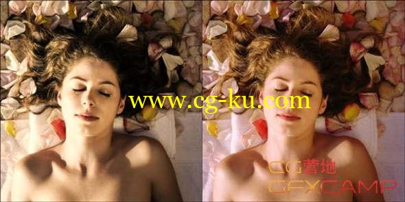 AE/Pr/PS/OFX电影胶片效果插件 Digital Film Tools Film Stocks 2.0v12.1 Win64破解版的图片1