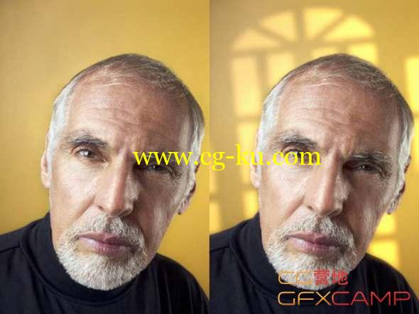 PS图形光效插件 Digital Film Tools Light 4.0v6.1 for Photoshop Win64破解版的图片1
