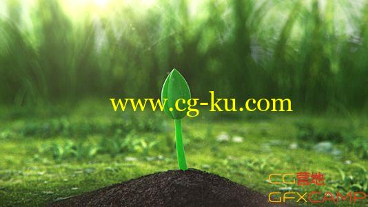 种子幼苗生长开花Logo展示 VideoHive Growing Flower的图片1