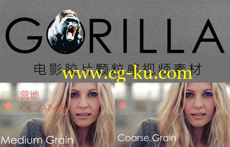 电影胶片颗粒感视频素材 Gorilla Grain 16MM 35MM and Vintage grain Bundle的图片1