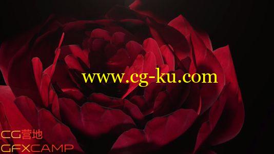 C4D玫瑰制作教程 Cinema 4D – Creating a Realistic Rose Tutorial的图片1