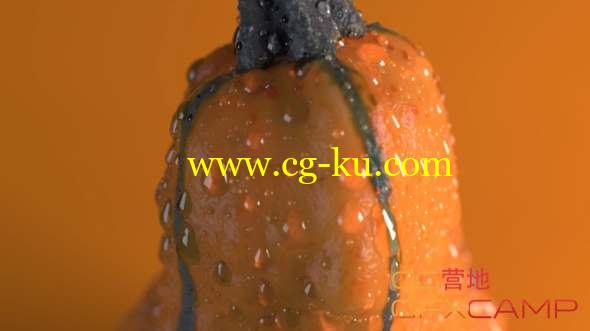 Houdini制作水珠教程 Procedural Modeling of Water Droplets Tutorial的图片1