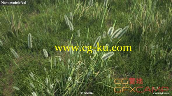 草地植物3D模型 Maxtree – Plant Models Vol.1的图片1