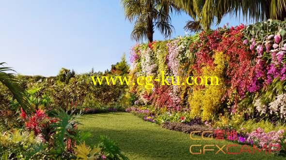 花园花朵兰花植物3D模型 Maxtree - Plant Models Vol.8的图片1