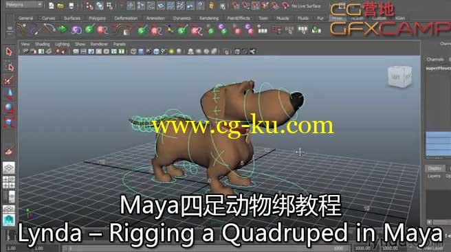 Maya四足动物绑教程 Lynda–Rigging a Quadruped in Maya的图片1