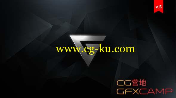 AE模板-白金质感Logo动画 Platinum Logo Reveal的图片1