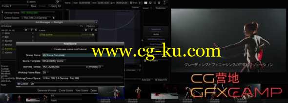 4K视频高级电影调色插件 FilmLight Baselight for Nuke 10/11 v5.1.10641 + Avid v5.1.10652 MAC破解版的图片1
