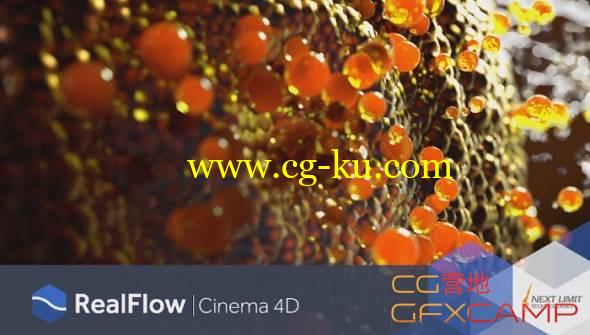 RealFlow C4D R17/R18/R19流体模拟插件 NextLimit RealFlow C4D 2.5.3.0083 Win破解版的图片1