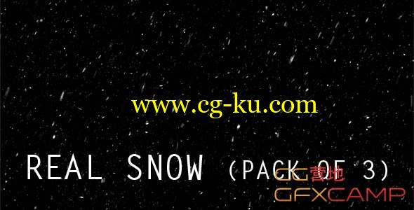 3组下雪视频素材 Snow的图片1