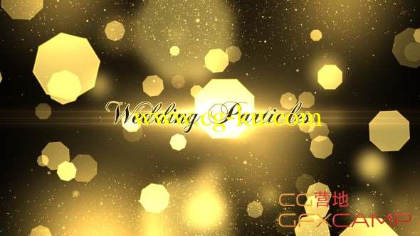 AE模板-梦幻粒子背景婚礼图片开场 Wedding Particles Opener的图片1