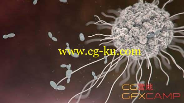 3DS MAX网格粒子流体模拟插件破解版 ThinkBox Frost MX V2.2.2 For 3DS Max 2015 - 2019的图片1