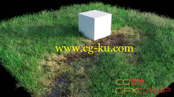 真实草地制作Blender教程 CGCookie - Creating Grass in Blender的图片1