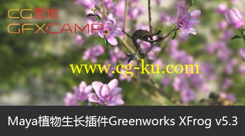 Maya植物生长插件 Greenworks XFrog v5.3 For Maya 2015的图片1