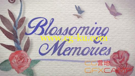 AE模板-水彩花藤婚礼模板 VideoHive Flourish Memories Wedding Intro的图片1