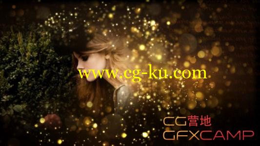 AE模板-金色粒子大气开场 VideoHive Gold Particles Postcard Opener的图片1