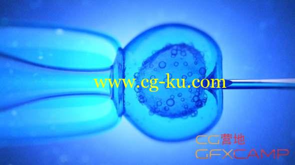 针尖细胞动画AE+C4D教程 Medical Animation Tutorial with CINEMA 4D & After Effects的图片1