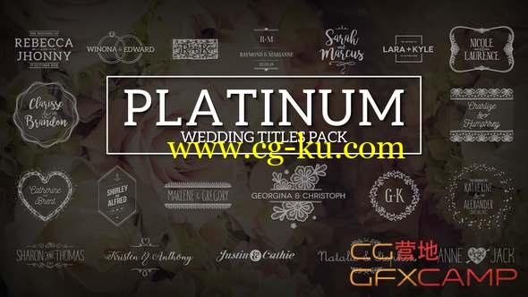 AE模板-20组婚礼文字标题动画 Platinum Wedding Titles Pack的图片1