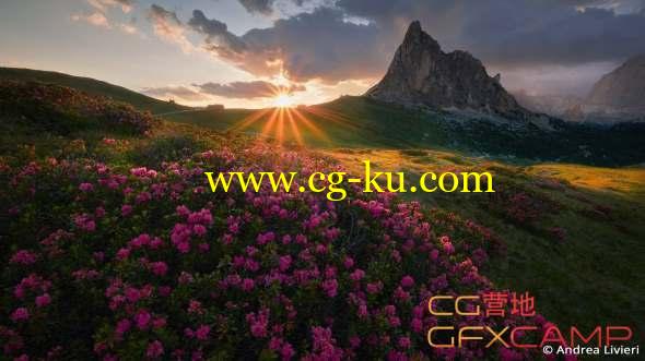 PS/Lr图片调色无损放大手绘滤镜插件 Alien Skin Exposure X4 Bundle v4.0.1.27 Win/Mac破解版的图片1
