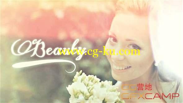 AE模板-浪漫漏光婚礼相册视频片头 Wedding Photo &Video Gallery Montage的图片1