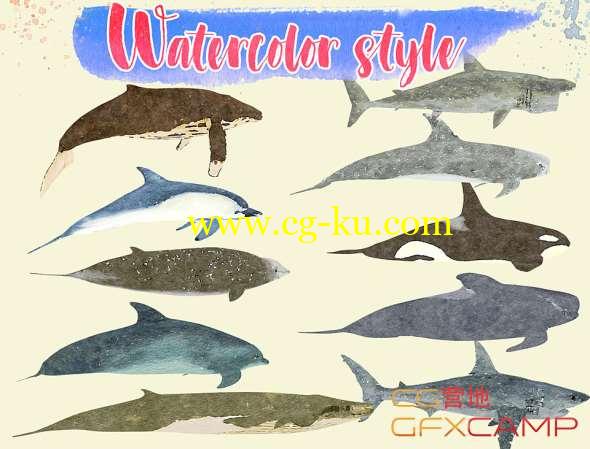 低多边形鱼3D模型 Cubebrush - Low Poly Big Fish Illustration Collection Animated的图片1