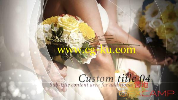 AE婚礼模板 VideoHive Ivory Wedding的图片1