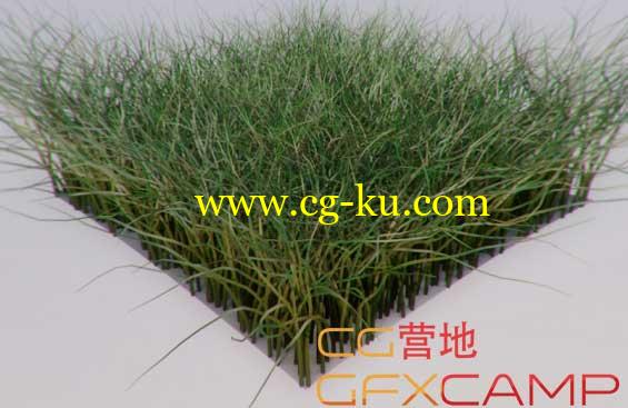 C4D贴图映射插件 Tools4D Texture Remapping Kit v1.80的图片1