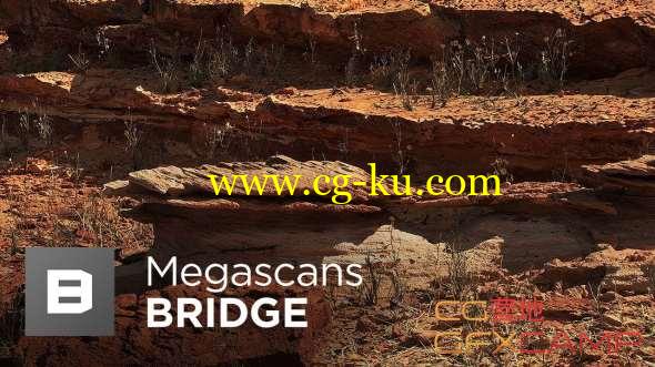 3D地表地形场景模型桥接软件 Quixel MegaScan Bridge 2.5.72 Win/Mac破解版的图片1
