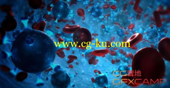 血细胞三维场景动画AE教程 After Effects - Creating a Biology Scene with Stardust Tutorial的图片1