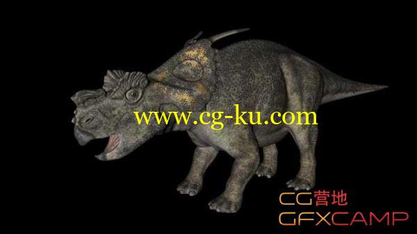 34个C4D恐龙绑定模型 Dinosaur Models Rigged的图片1