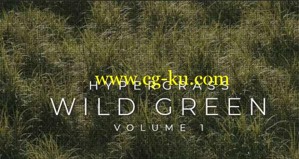 草地野草3D模型(FBX/OBJ格式) Vertex Library HyperGrass 01 WildGreen的图片1