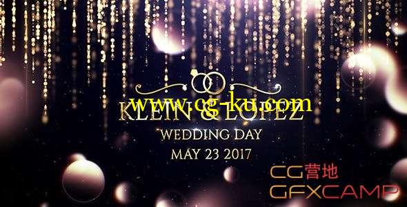 AE模板-金色粒子帘幕背景婚礼片头 Wedding Opener的图片1