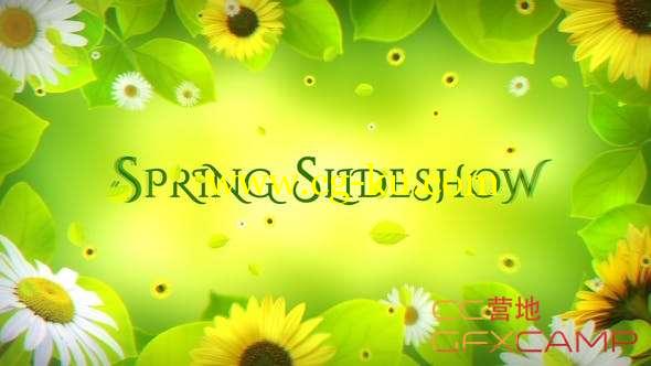 AE模板-春天树叶花朵边框幻灯片开场 Spring Slideshow的图片1