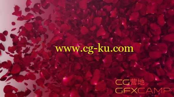 AE模板-玫瑰花瓣Logo动画 Petals Logo Reveal III的图片1