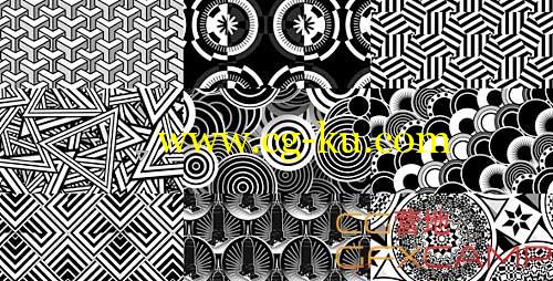 VideoHive 黑白复古绚丽花纹图形视频素材+AE工程的图片1