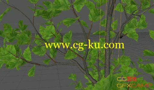 C4D树木生长教程 Animating Tree Growth using Xfrog的图片1