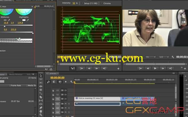 Premiere CC 2014基础全面教程 Lynda – Premiere Pro CC Essential Training的图片1